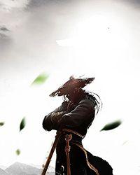 引朱鸾 青铜穗完结了吗